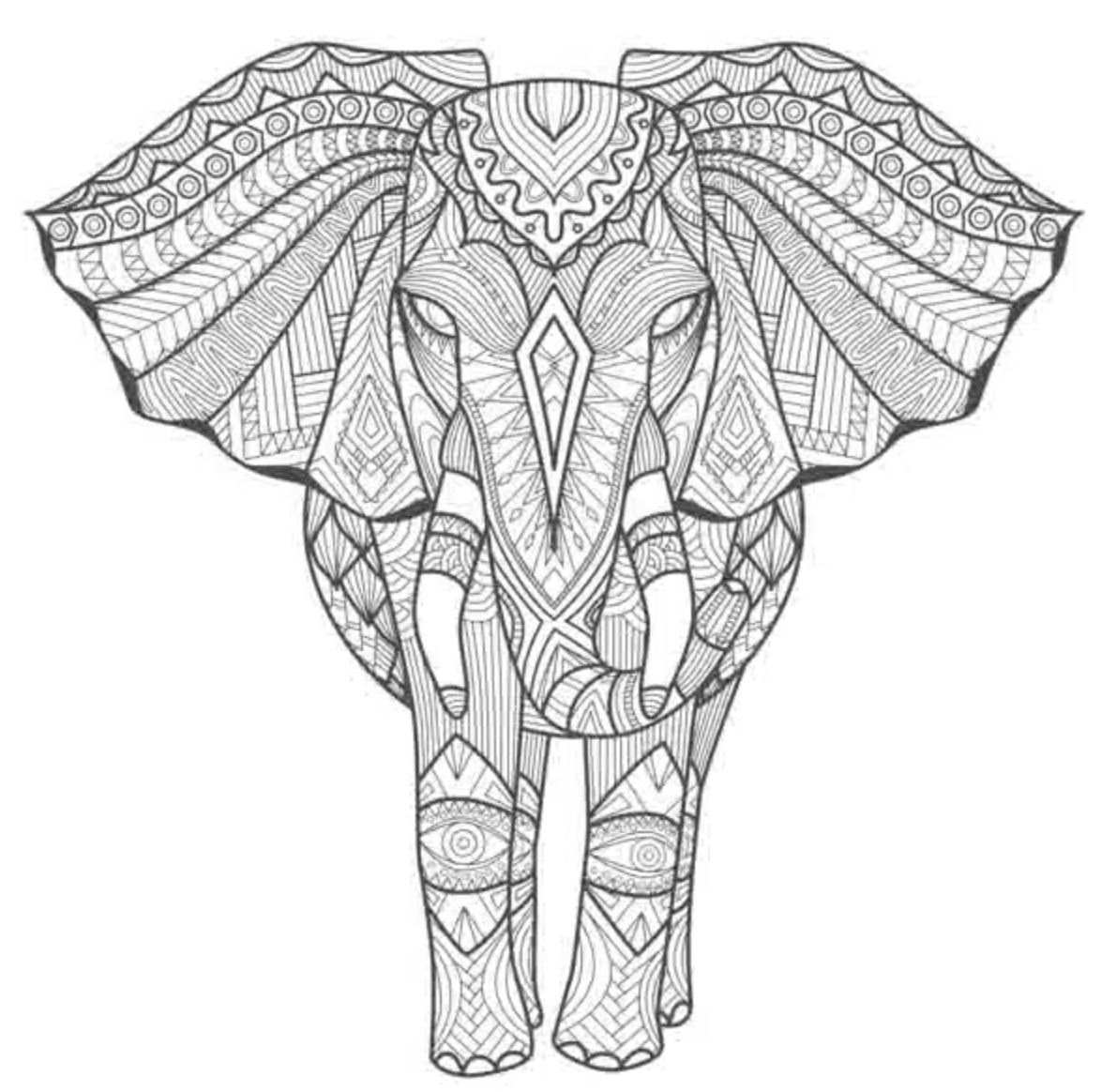 Cadre Tangle 40x40 - Eléphant Afrique